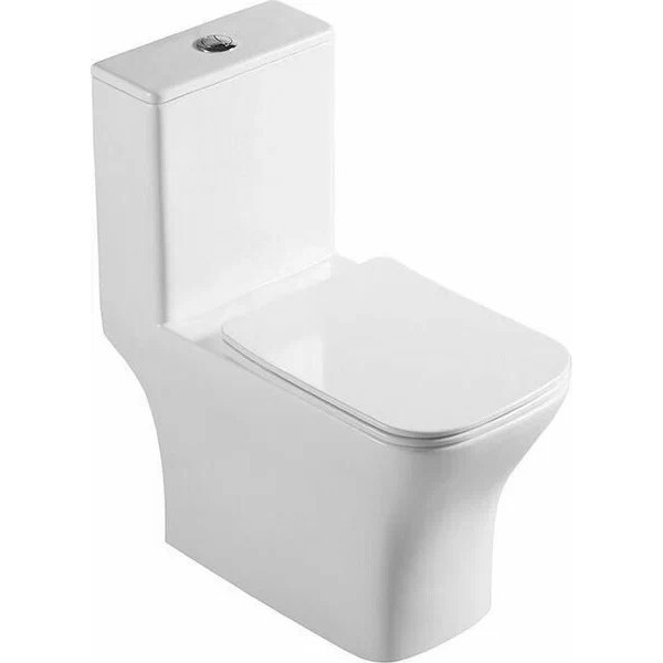 Унитаз-моноблок BelBagno Neon безободковый (BB8617CPR-MN/SC) Унитаз-моноблок BelBagno Neon безободковый (BB8617CPR-MN/SC)