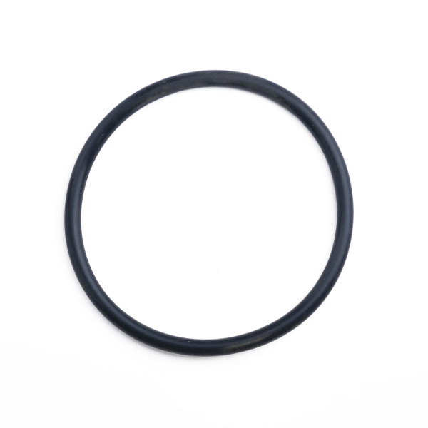 Кольцо уплотнительное для фильтра Гейзер Премьер SL (23811) Кольцо уплотнительное для фильтра Гейзер Премьер SL (23811)