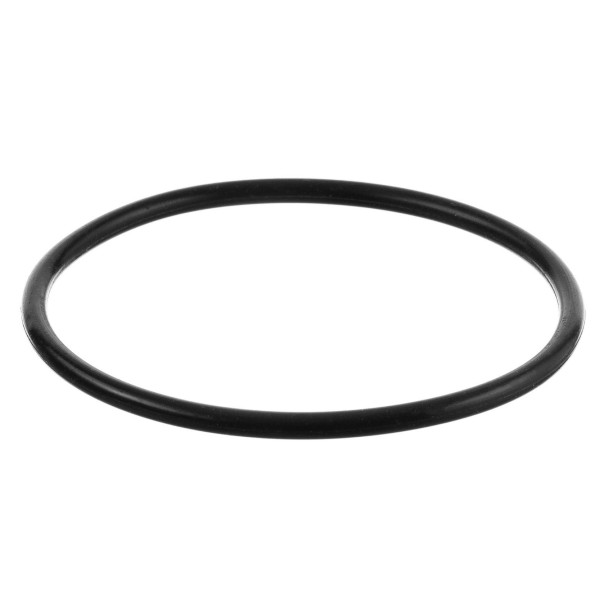 Кольцо уплотнительное Гейзер FH20 (23817) Кольцо уплотнительное Гейзер FH20 (23817)