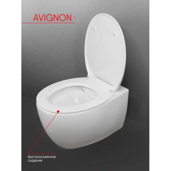 Унитаз подвесной Creo  Avignon с сиденьем микролифт (COMBO-AV1100/AV1001T)