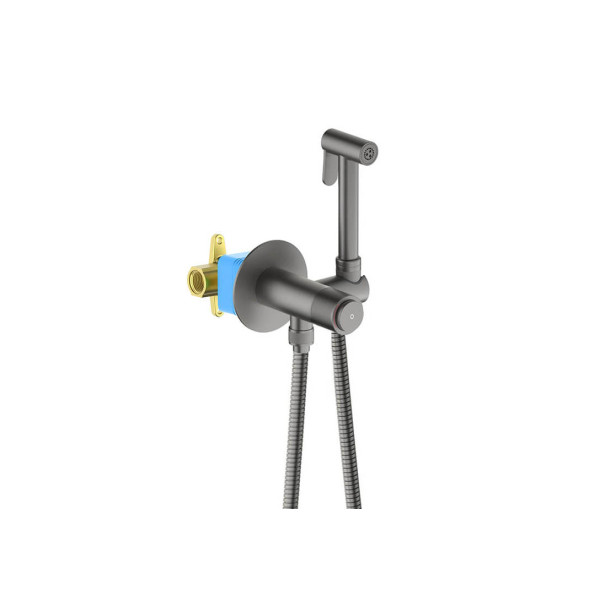 Смеситель с гигиеническим душем Aquatek Бетта Select встроенный (гигиеническая лейка, шланг) шлифованный черный хром (AQ1023BGM)