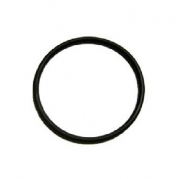 Кольцо уплотнительное Гейзер 016-021-30 для Эко (23398) Кольцо уплотнительное Гейзер 016-021-30 для Эко (23398)