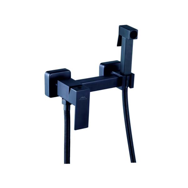 Смеситель с гигиеническим душем Fashun графит (A57504-17) Смеситель с гигиеническим душем Fashun графит (A57504-17)