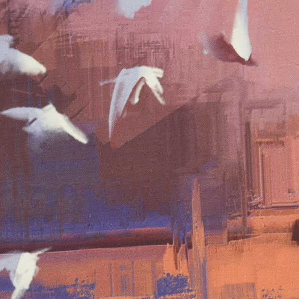 Душевая шторка для ванны Wasser Kraft Ammer 180x200 (SC-70103)