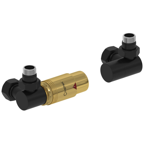 Терморегулятор автоматический Сунержа 1/2"х3/4" НР/НГ 3D левый, набор, матовый черный - золото (31-1421-6207) Терморегулятор автоматический Сунержа 1/2"х3/4" НР/НГ 3D левый, набор, матовый черный - золото (31-1421-6207)