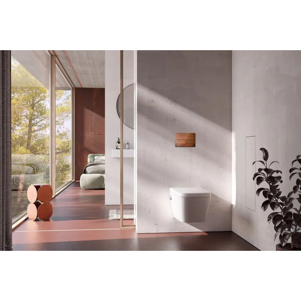 Клавиша смывная Tece TECEsquare II Сталь ржавая (9240845)