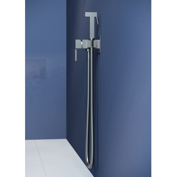 Смеситель с гигиеническим душем RGW Shower Panels серый Brush (581408212-11)