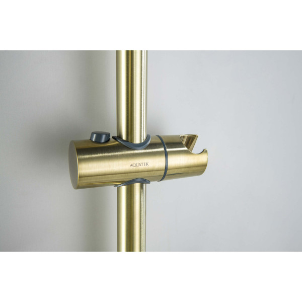 Душевой гарнитур Aquatek 3jet 65 см шлифованное золото (AQ2016BG)