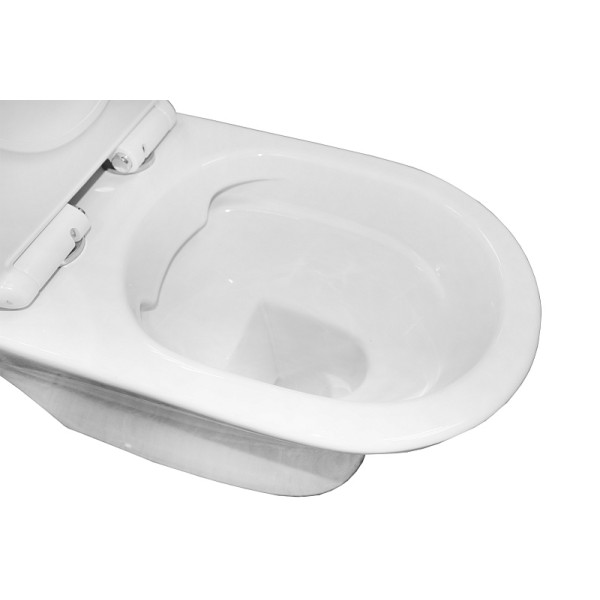 Унитаз напольный Azario Унитаз с сиденьем с микролифтом белый (AZ-2311)