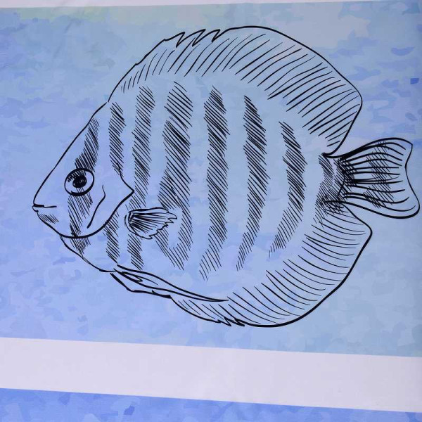 Душевая шторка для ванны Wasser Kraft Inn 180х200 (SC-43101)