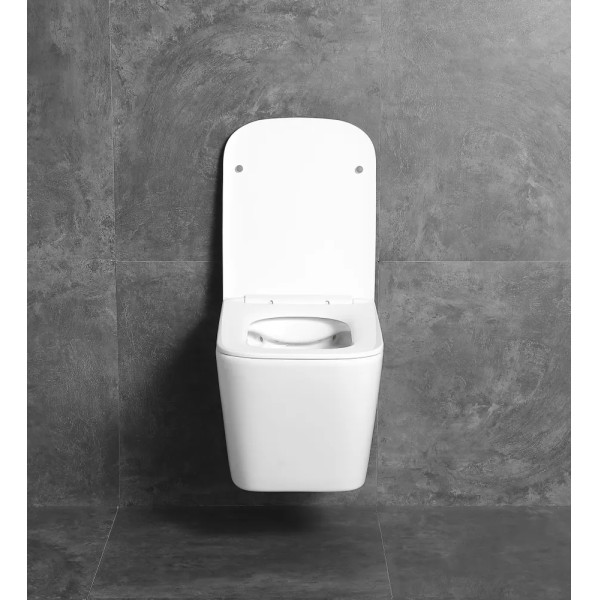 Унитаз подвесной DLC 510x360x350 безободковый микролифт, белый (D110D100251) Унитаз подвесной DLC 510x360x350 безободковый микролифт, белый (D110D100251)