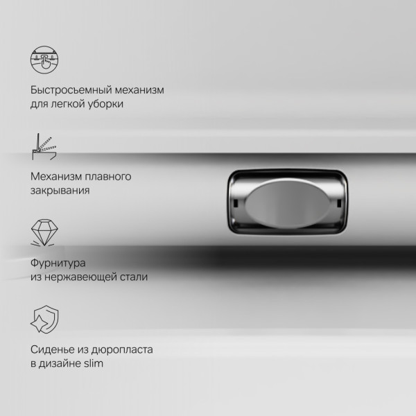 Унитаз подвесной AM.PM Inspire V2.0 FlashClean с сиденьем микролифт, белый матовый (C50A1700MWSC) Унитаз подвесной AM.PM Inspire V2.0 FlashClean с сиденьем микролифт, белый матовый (C50A1700MWSC)