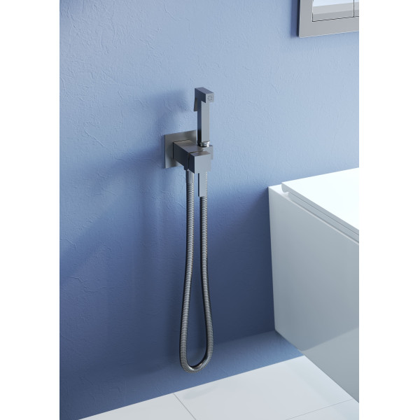 Смеситель с гигиеническим душем RGW Shower Panels серый Brush (581408212-11)