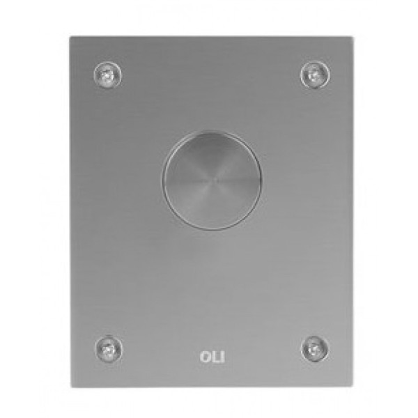 Клавиша смывная Oli Blink II хром (884967)