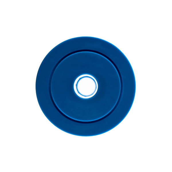 Картридж лепестковый Гейзер PPL 5 - 10BB (для холодной воды) (50724)