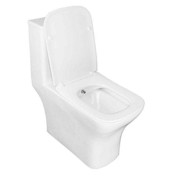 Унитаз напольный Azario Lodi 350x665x750 с функцией биде с сиденьем с микролифтом белый (AZ-8617B)