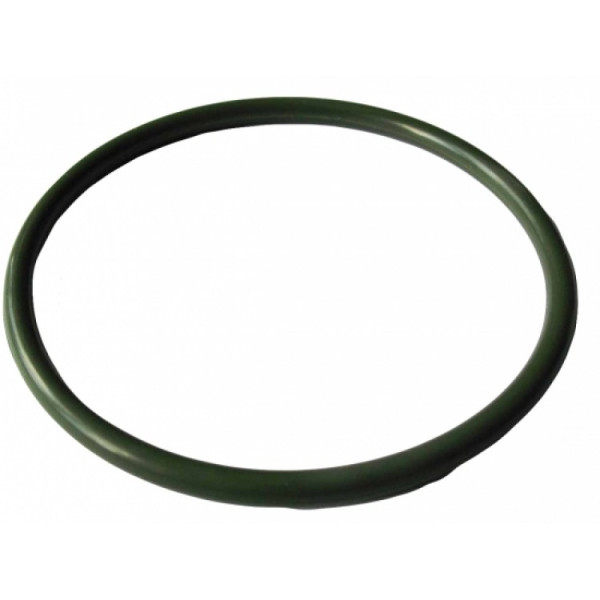 Кольцо уплотнительное Гейзер для C25 20SL (23989) Кольцо уплотнительное Гейзер для C25 20SL (23989)