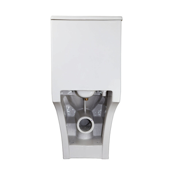 Унитаз напольный Azario Lodi 350x665x750 с функцией биде с сиденьем с микролифтом белый (AZ-8617B)