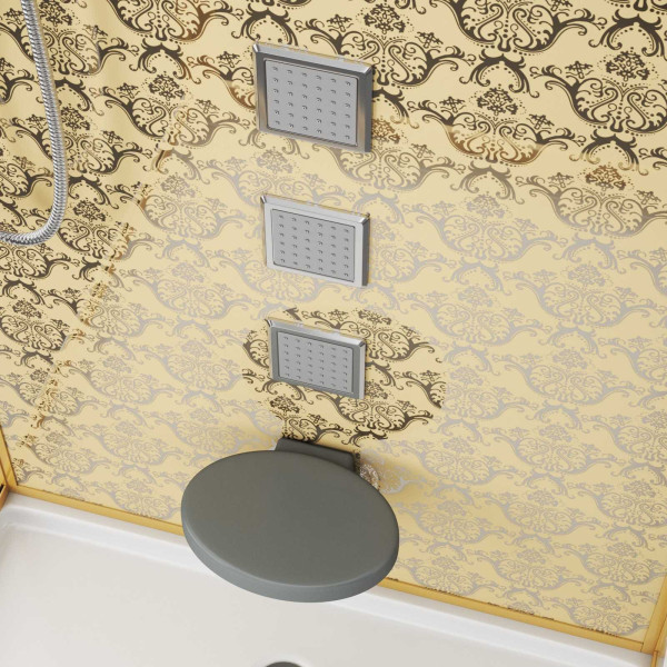 Душевая кабина Niagara с гидромассажем Luxe 1000*900*2200 стекло прозрачное, профиль золотой (NGL-7714G)