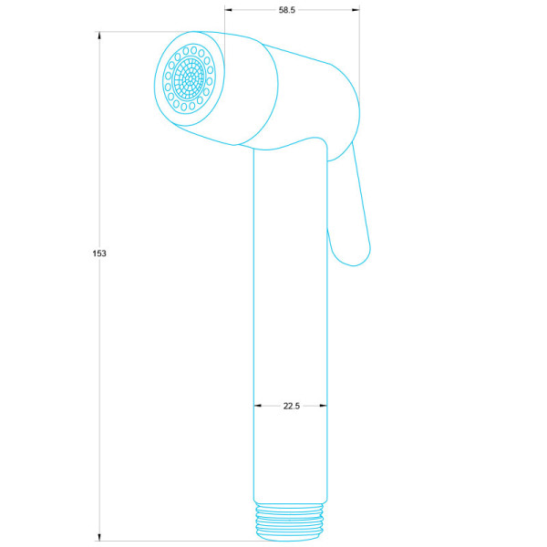 Лейка гигиеническая Melodia della vitta Duo 2 режима хром (MKP24007)