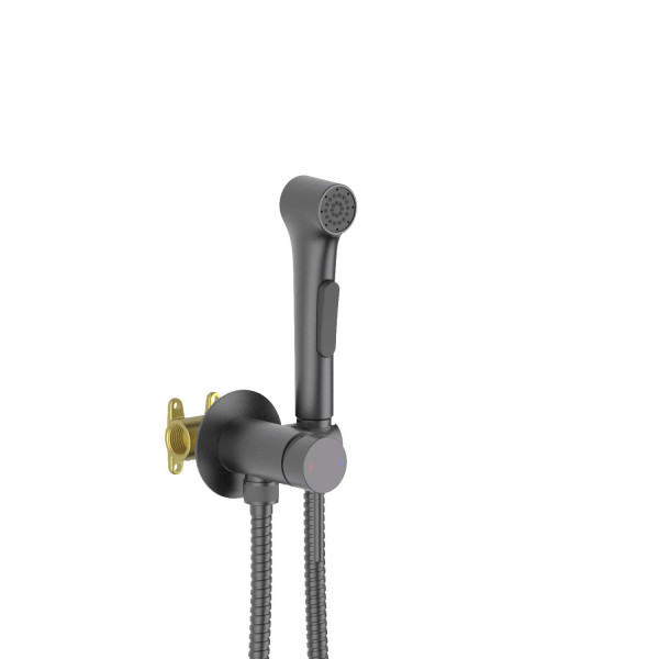 Смеситель с гигиеническим душем Aquatek Европа встраиваемый оружейная сталь (AQ1020BGM)