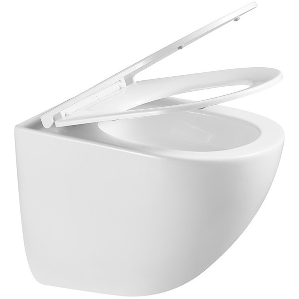 Унитаз подвесной Terminus Аврора Monolit 49,5x36 безободковый сиденье микролифт (01WM49x36W)