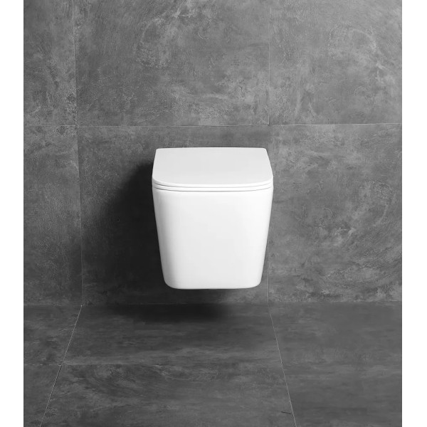 Унитаз подвесной DLC 510x360x350 безободковый микролифт, белый (D110D100251)