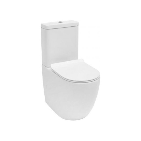 Унитаз напольный Aquanet Cetus-C1 с сиденьем Soft Close (203342) Унитаз напольный Aquanet Cetus-C1 с сиденьем Soft Close (203342)