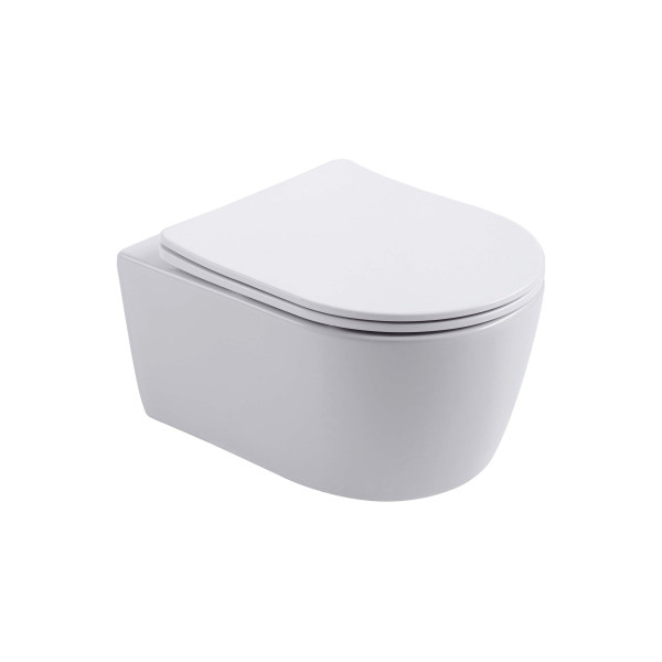 Унитаз подвесной Aquatek Европа белый (AQ1106T-00)