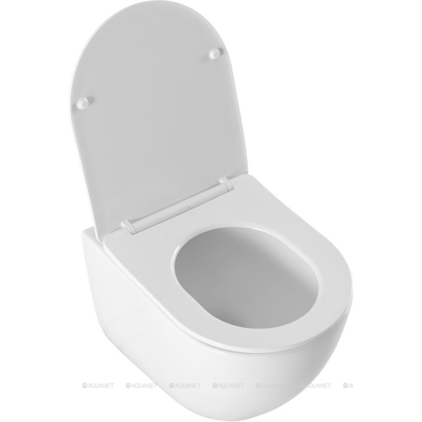 Унитаз подвесной Aquanet EcoV W с сиденьем с soft-close белый (348039)