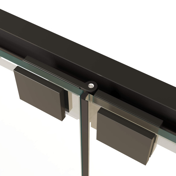 Душевая дверь RGW Passage 90x190 стекло , профиль черный (06082109-14)