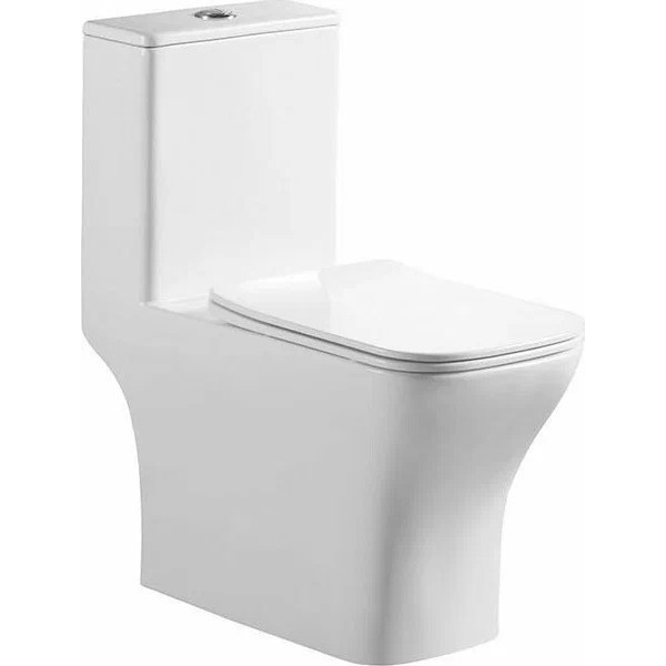 Унитаз-моноблок BelBagno Neon безободковый (BB8617CPR-MN/SC) Унитаз-моноблок BelBagno Neon безободковый (BB8617CPR-MN/SC)