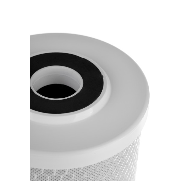 Картридж угольный Гейзер CBC 10 - 10BB РФ (27118)