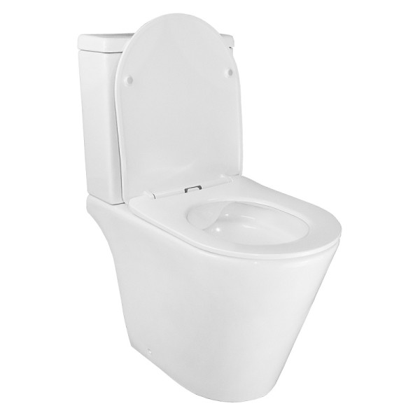 Унитаз напольный Azario Flin с сиденьем с микролифтом белый (AZ-1363C)