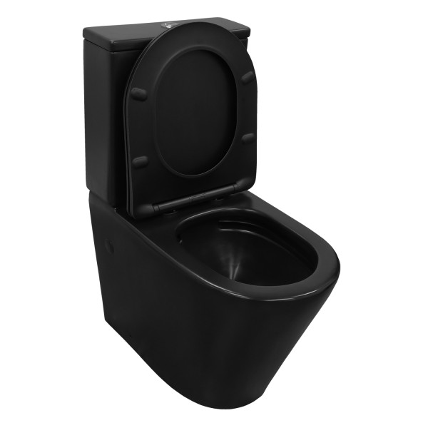 Унитаз напольный Azario Black Queen с сиденьем с микролифтом черный (AZ-8380) Унитаз напольный Azario Black Queen с сиденьем с микролифтом черный (AZ-8380)