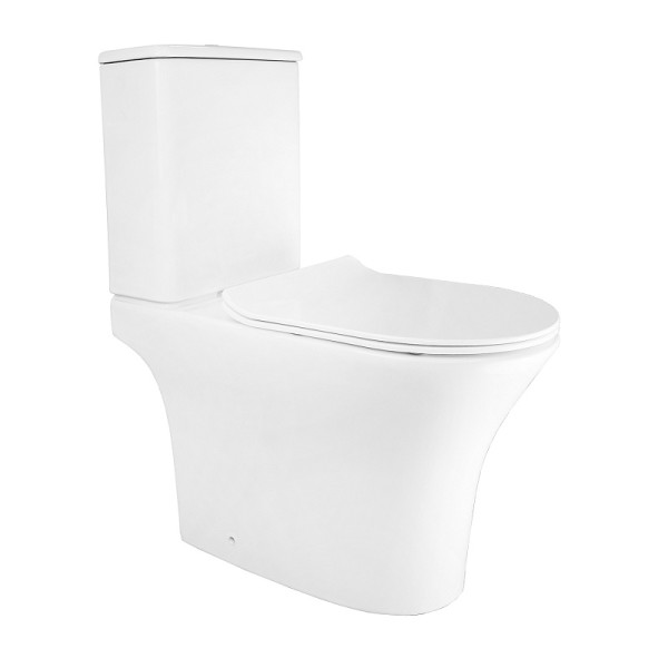 Унитаз напольный Azario Унитаз с сиденьем с микролифтом белый (AZ-2311)